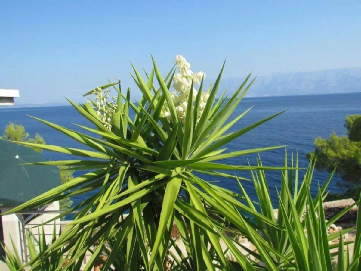 Holiday House Jakov Gdinj 外观 照片